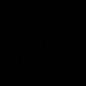 Meet your Posher, Kai